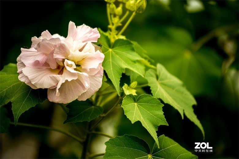 欢迎批评，欢迎指教！！！