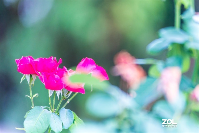 欢迎批评，欢迎指教！！！