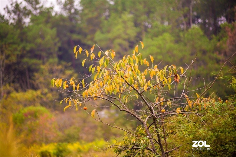 欢迎批评，欢迎指教！！！