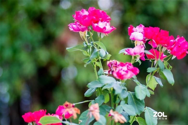 欢迎批评，欢迎指教！！！