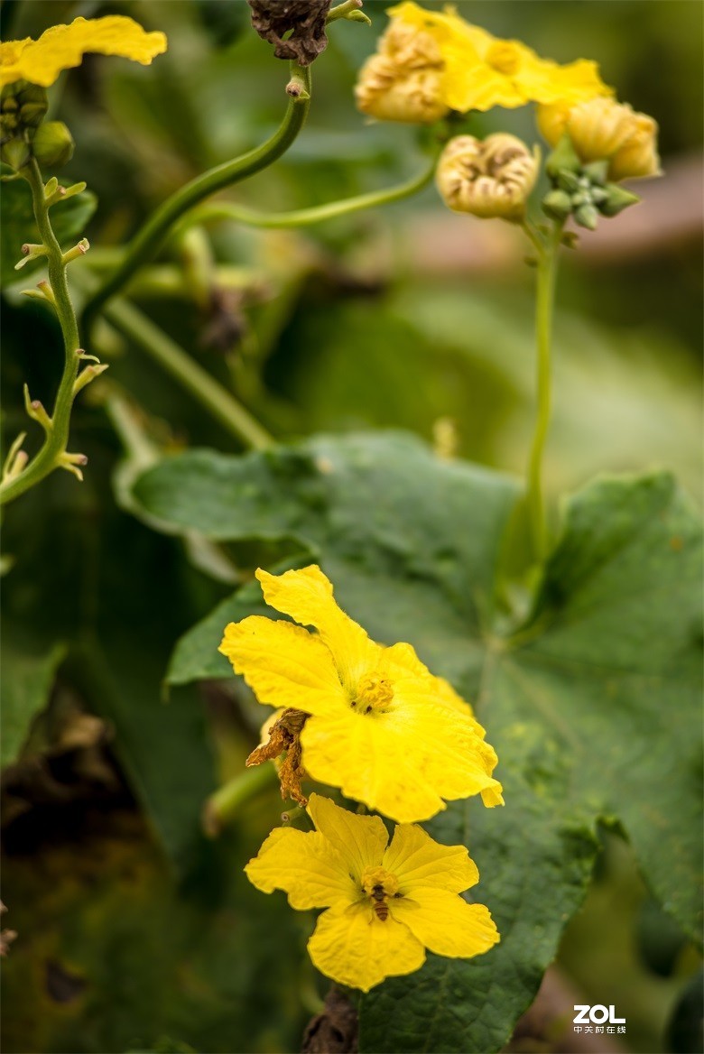 欢迎批评，欢迎指教！！！