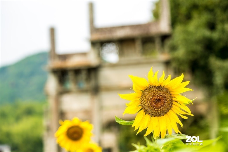 欢迎批评，欢迎指教！！！