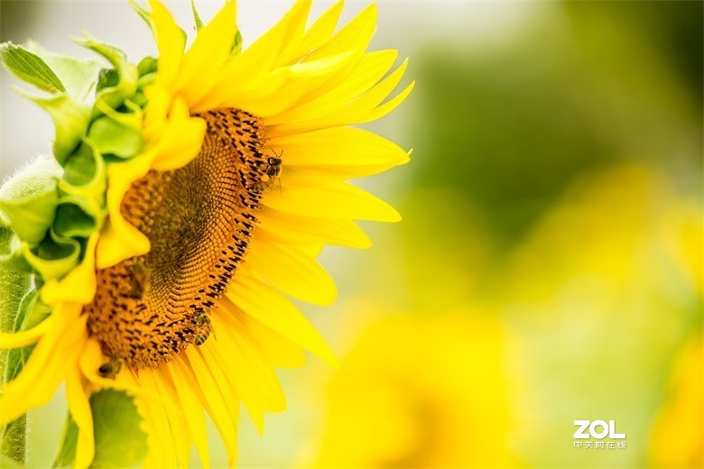 欢迎批评，欢迎指教！！！