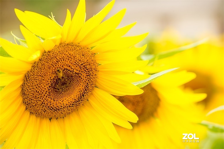 欢迎批评，欢迎指教！！！