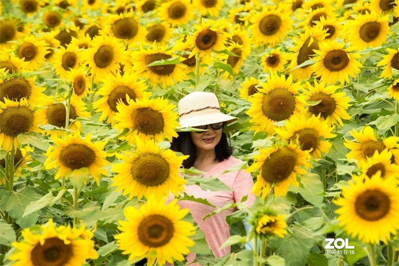 欢迎批评，欢迎指教！！！