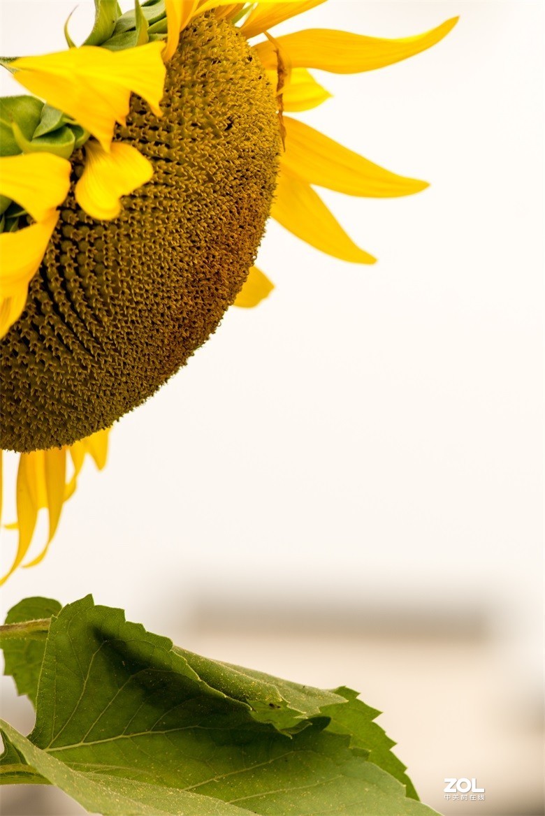 欢迎批评，欢迎指教！！！