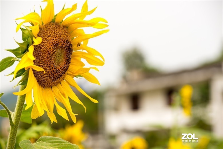 欢迎批评，欢迎指教！！！