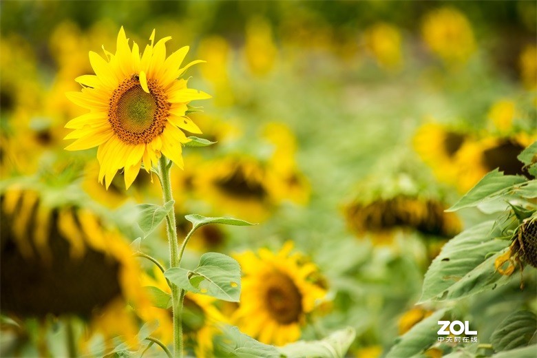 欢迎批评，欢迎指教！！！