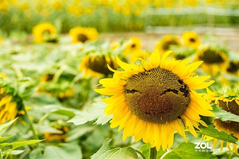 欢迎批评，欢迎指教！！！