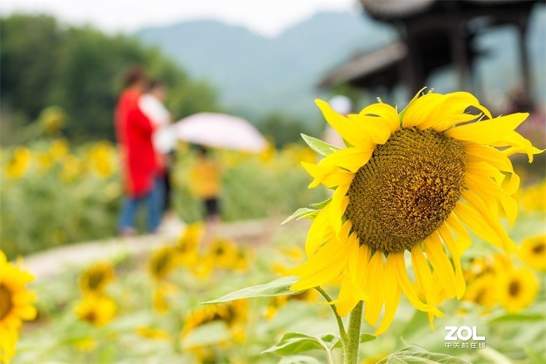 欢迎批评，欢迎指教！！！
