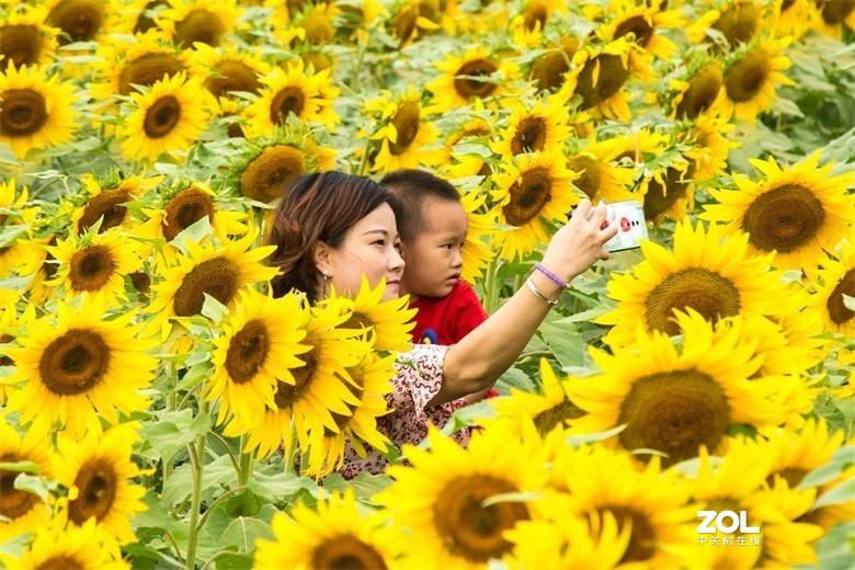 欢迎批评，欢迎指教！！！