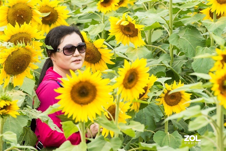 欢迎批评，欢迎指教！！！