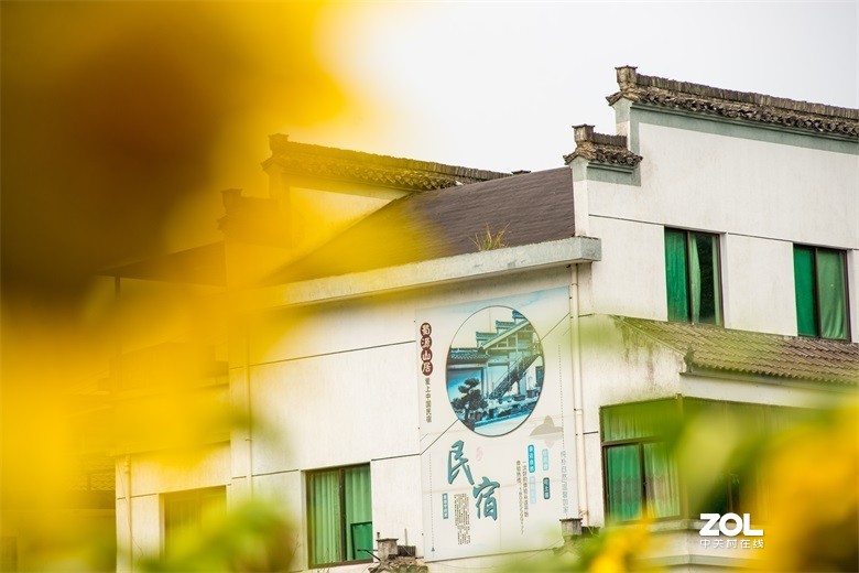 欢迎批评，欢迎指教！！！