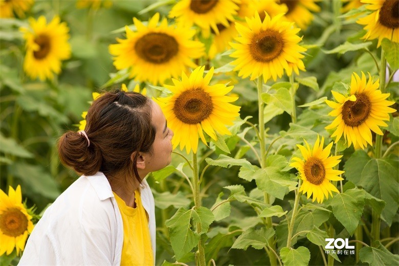 欢迎批评，欢迎指教！！！