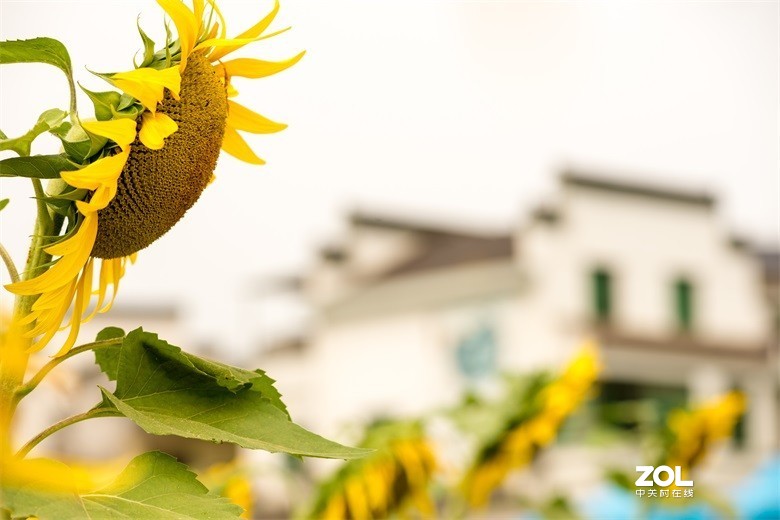 欢迎批评，欢迎指教！！！