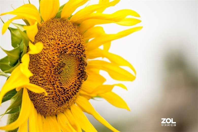 欢迎批评，欢迎指教！！！