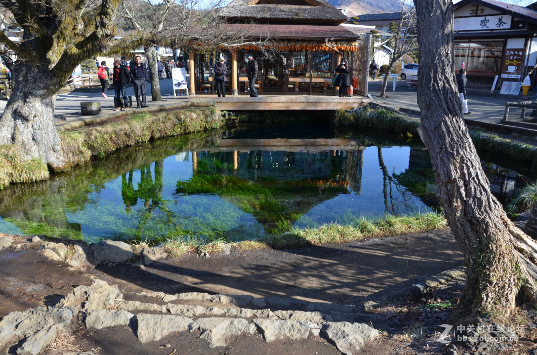 新婚日本本州蜜月之旅