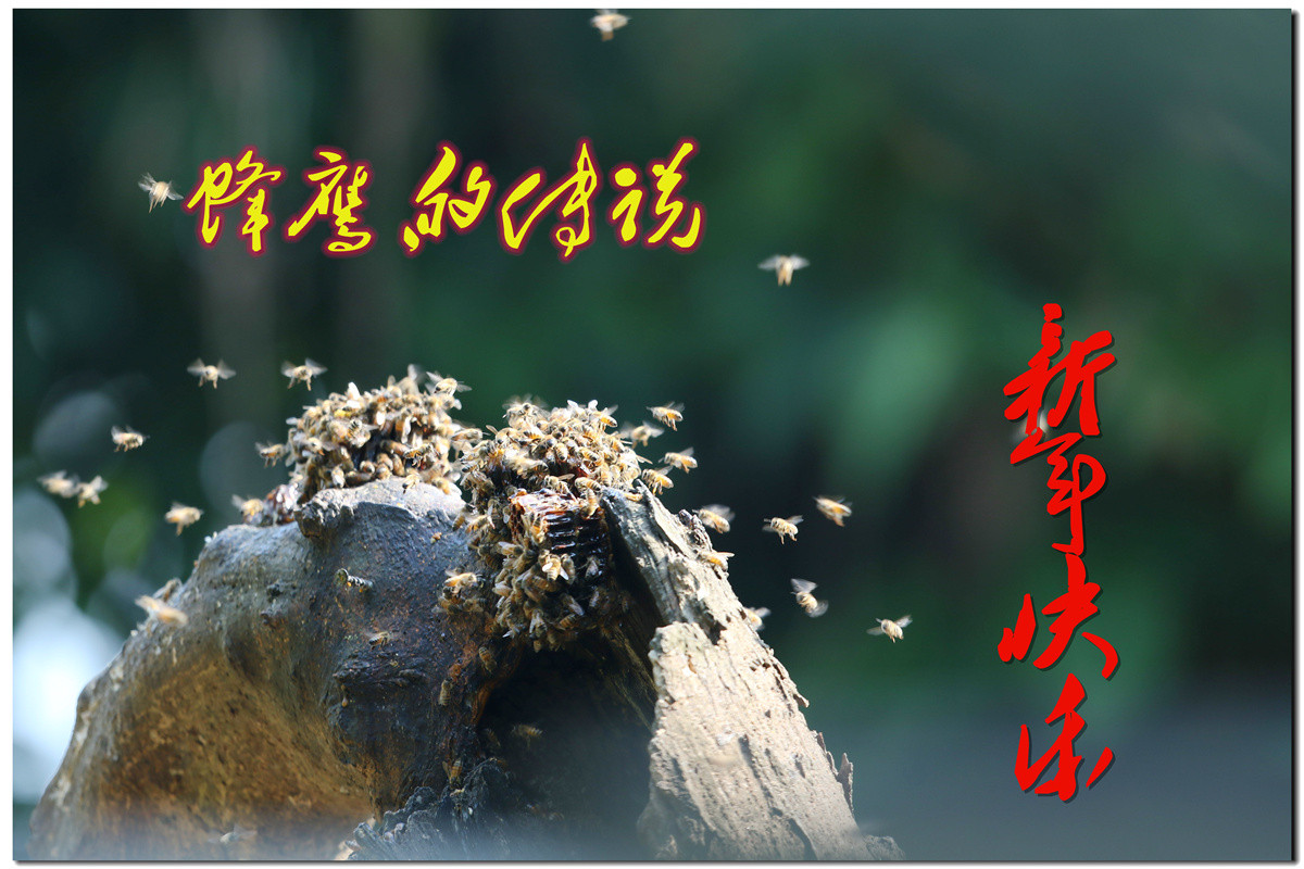 蜂鹰迎春，羊年奋进