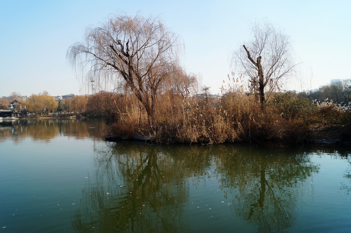 2015——明湖风光