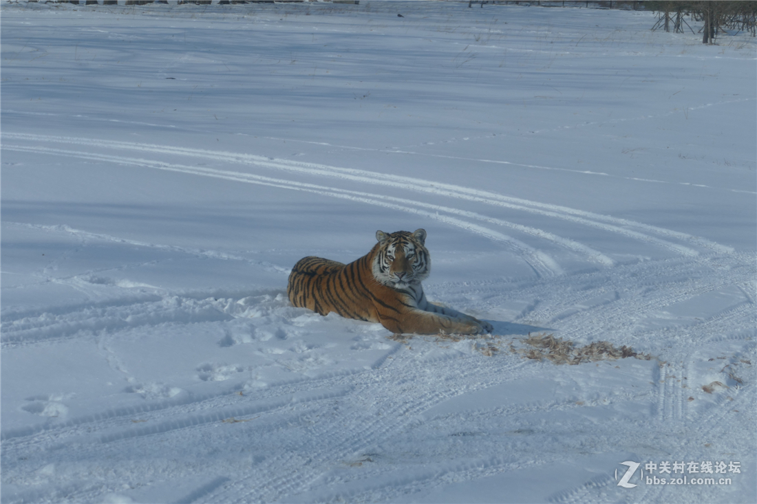 TYP114试用多图（不学版主打苍蝇咱打老虎呵呵）欢迎拍砖！！！