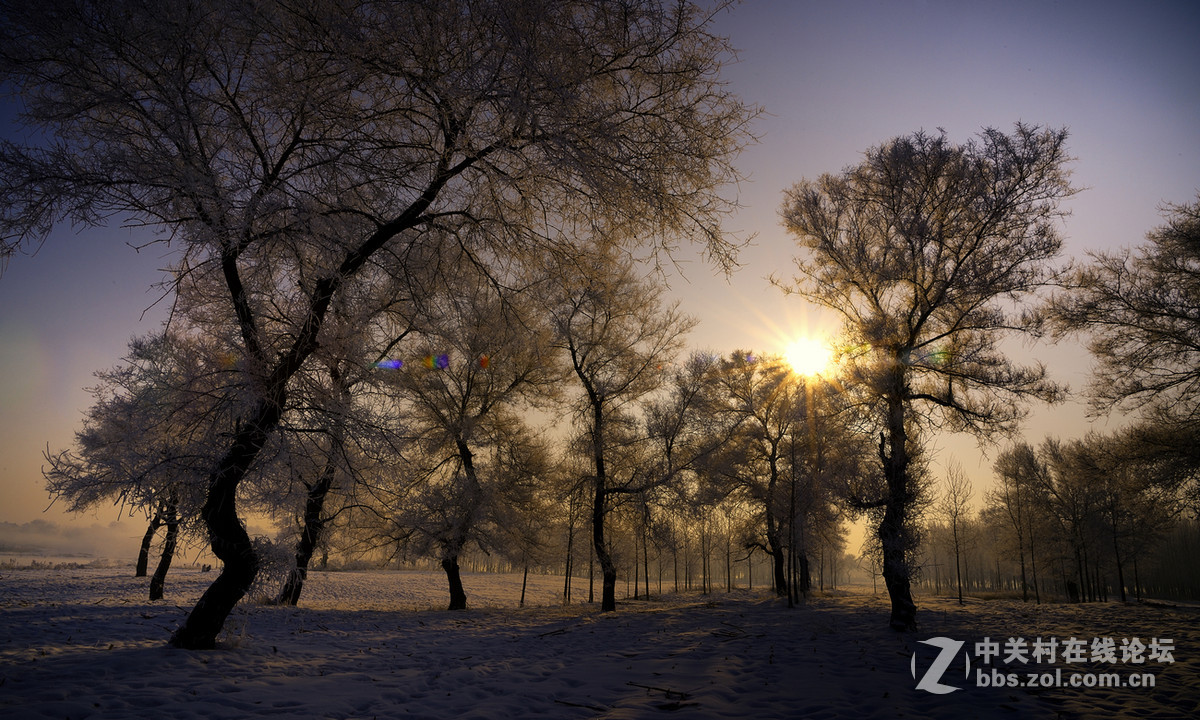 神奇而美丽风景线——雾凇岛