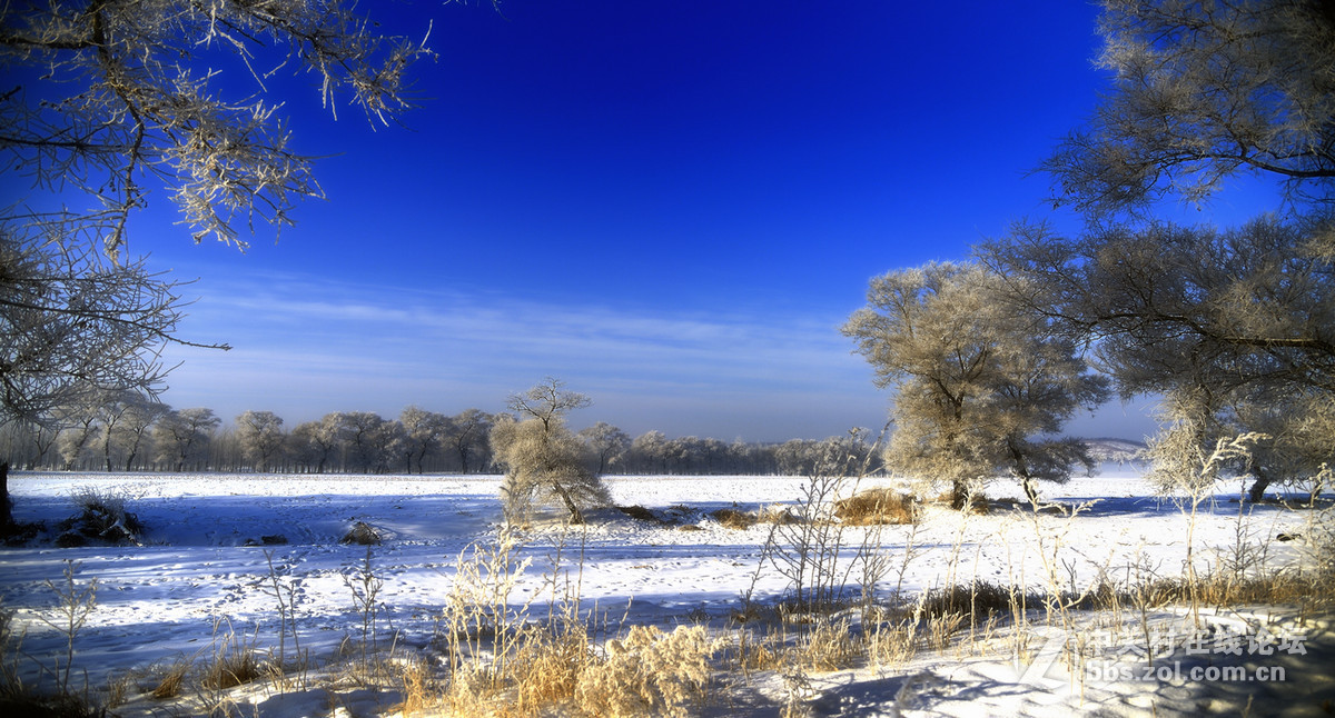 神奇而美丽风景线——雾凇岛
