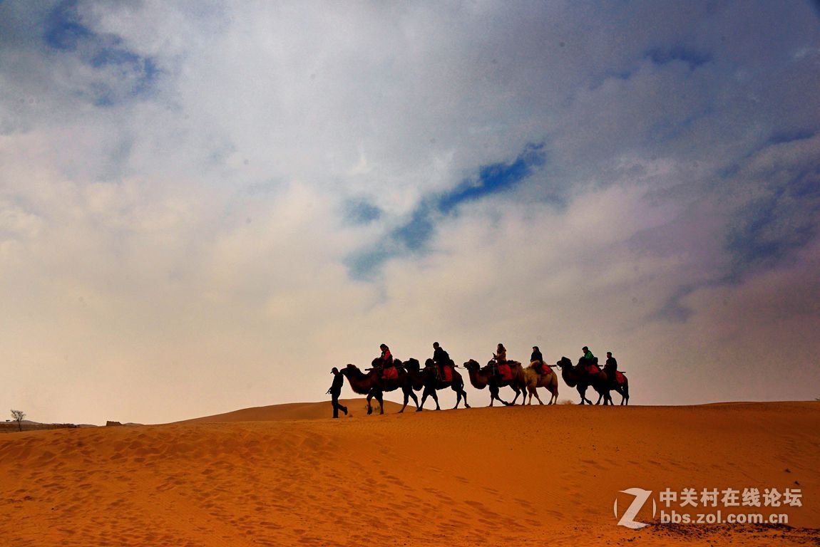 黄河——中华文明的摇篮（宁夏沙坡头）