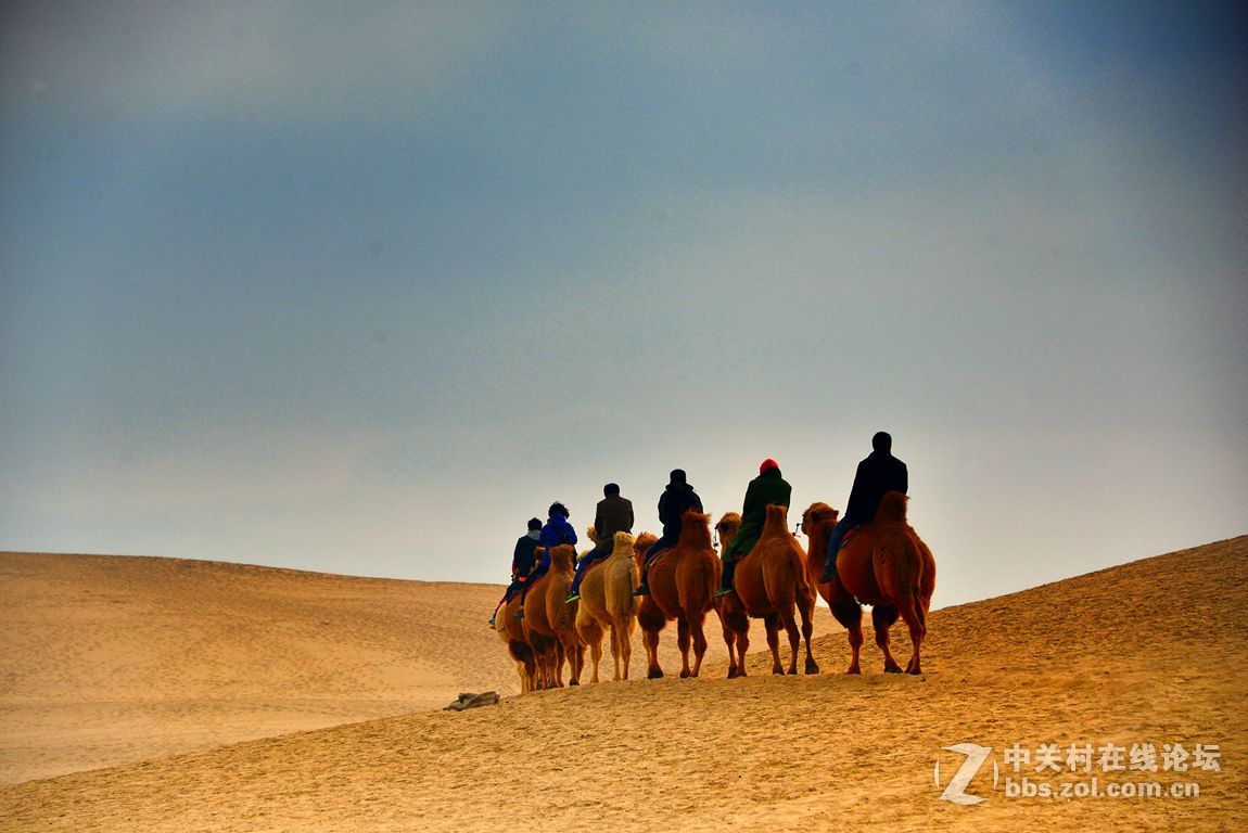 黄河——中华文明的摇篮（宁夏沙坡头）