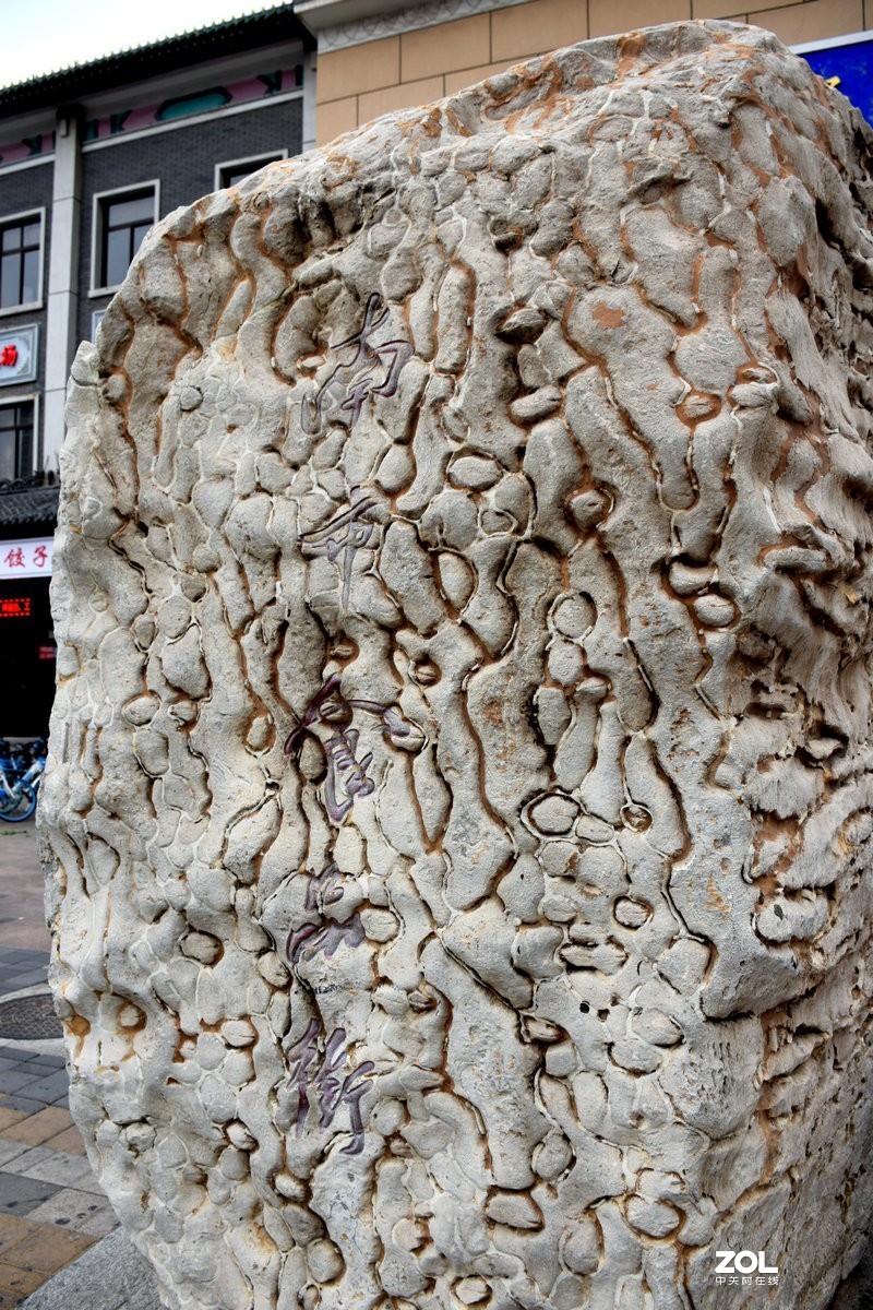 2019夏 京津鲁豫之旅（94）南市食品街