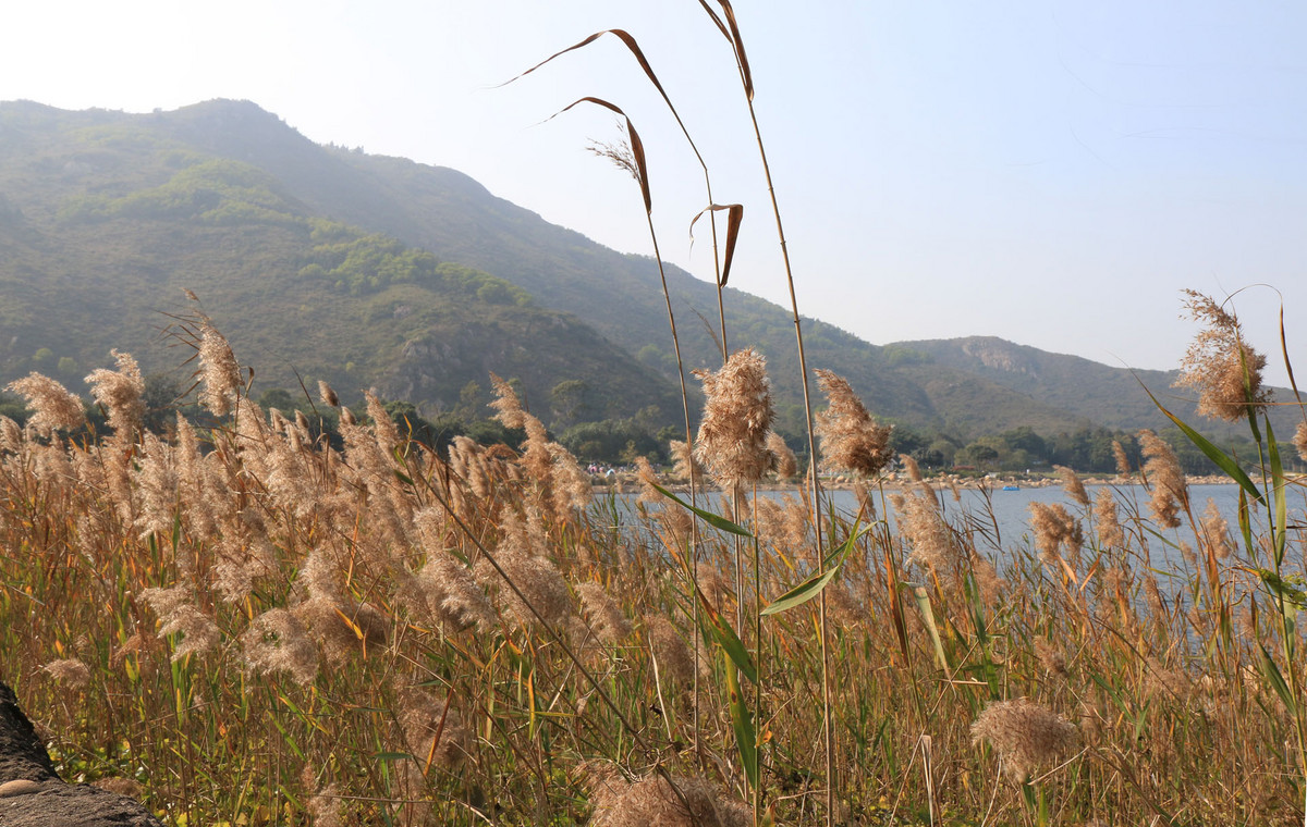 公園隨拍