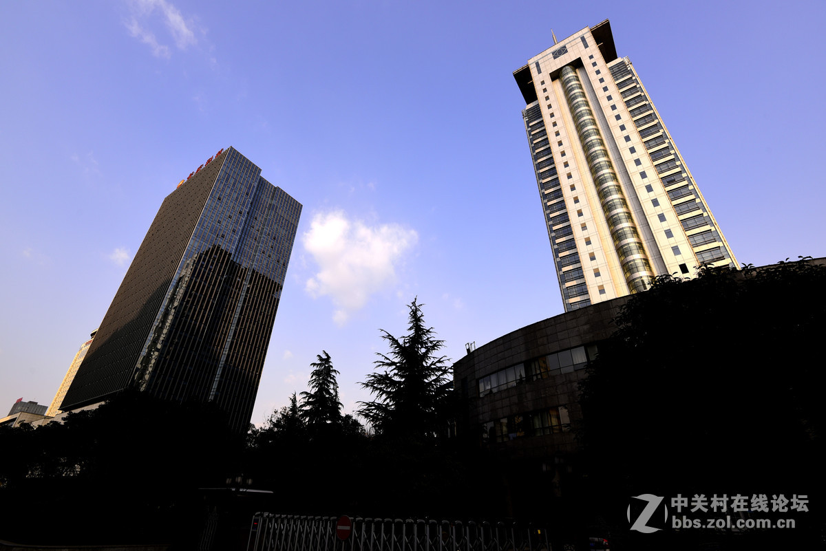 D750+16-35mm /F4试照扫街