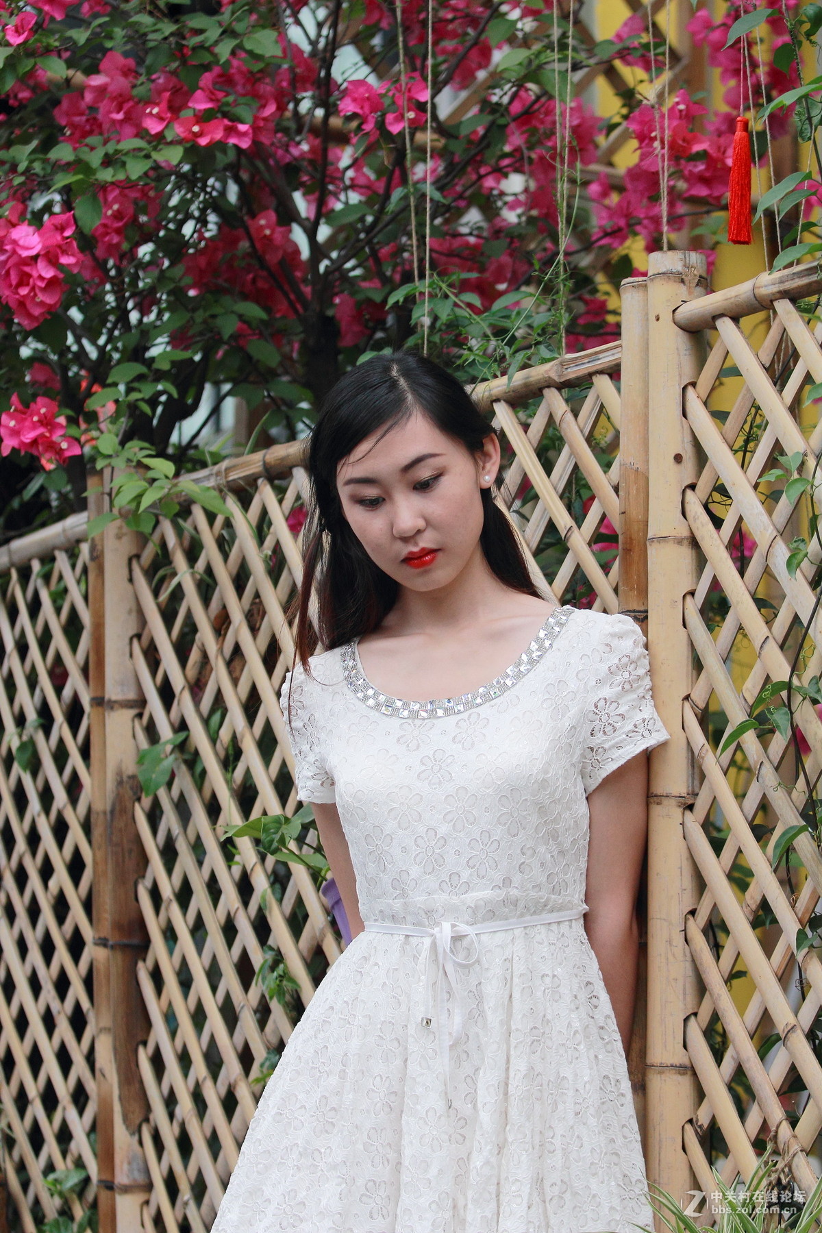 600D+爱死小小白