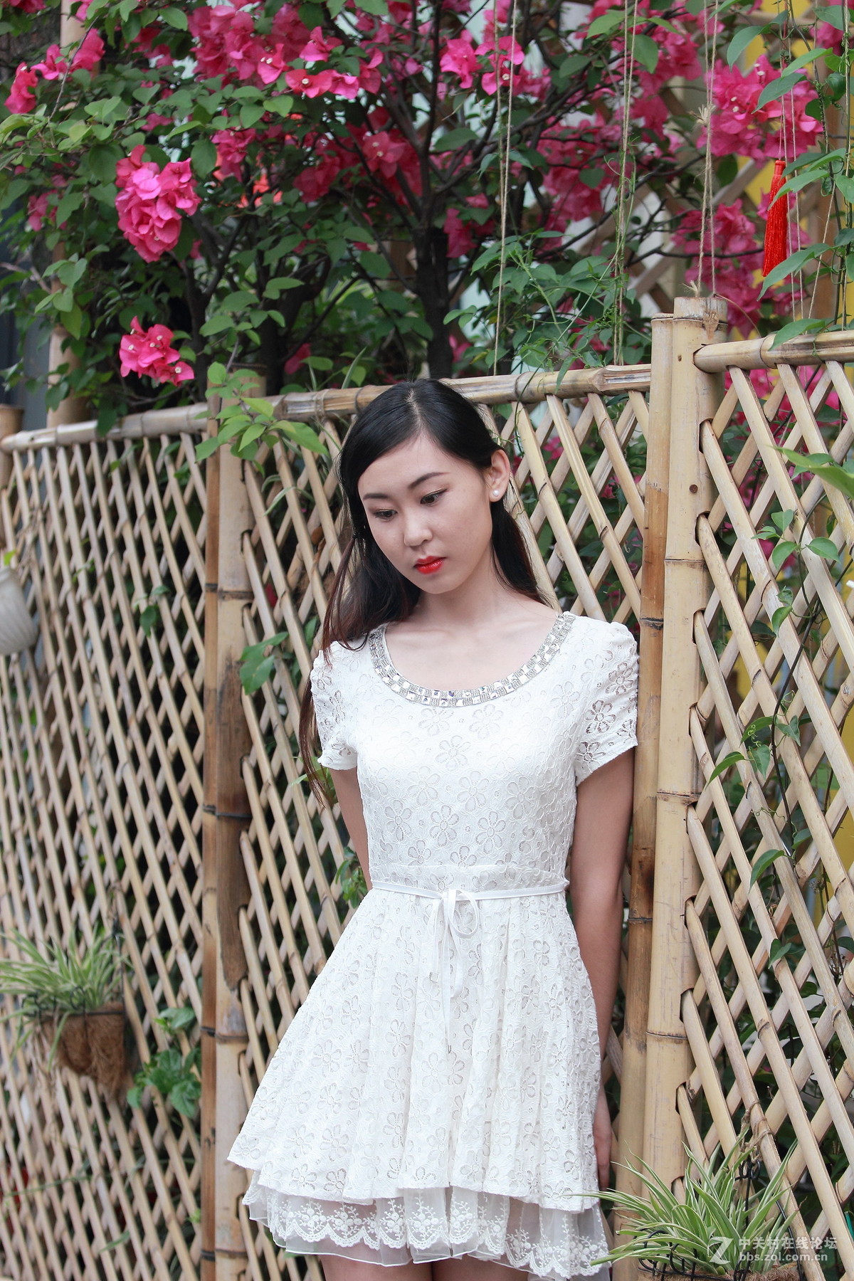 600D+爱死小小白