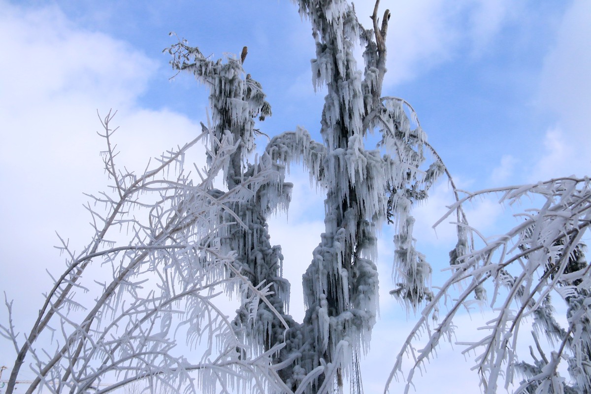 今天随拍一组长白山雪雕，雪景