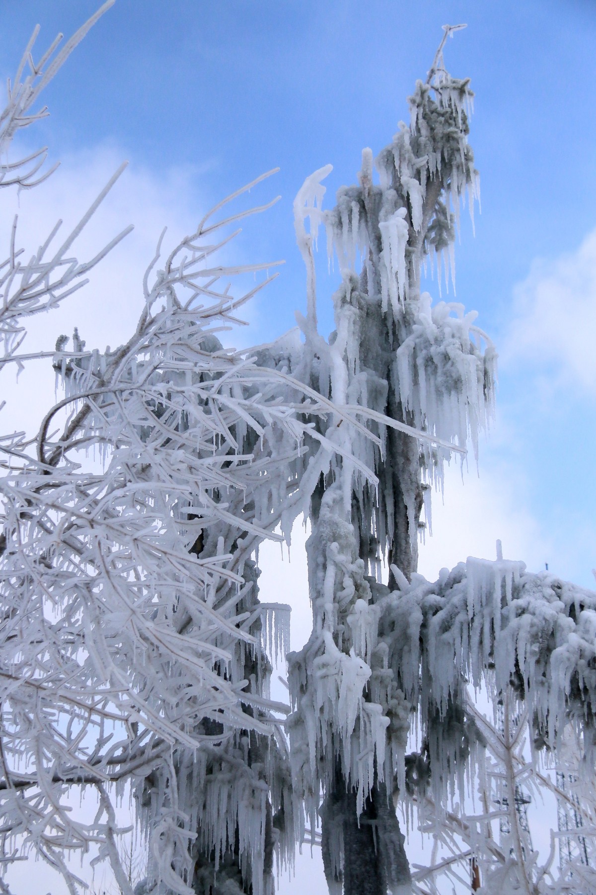 今天随拍一组长白山雪雕，雪景