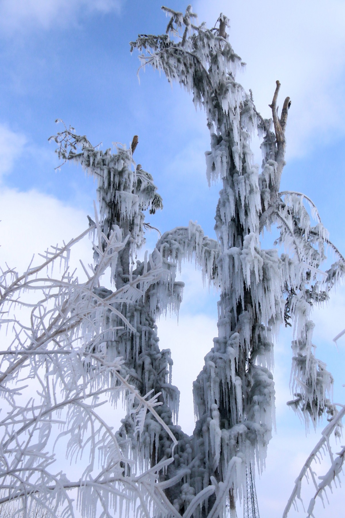 今天随拍一组长白山雪雕，雪景