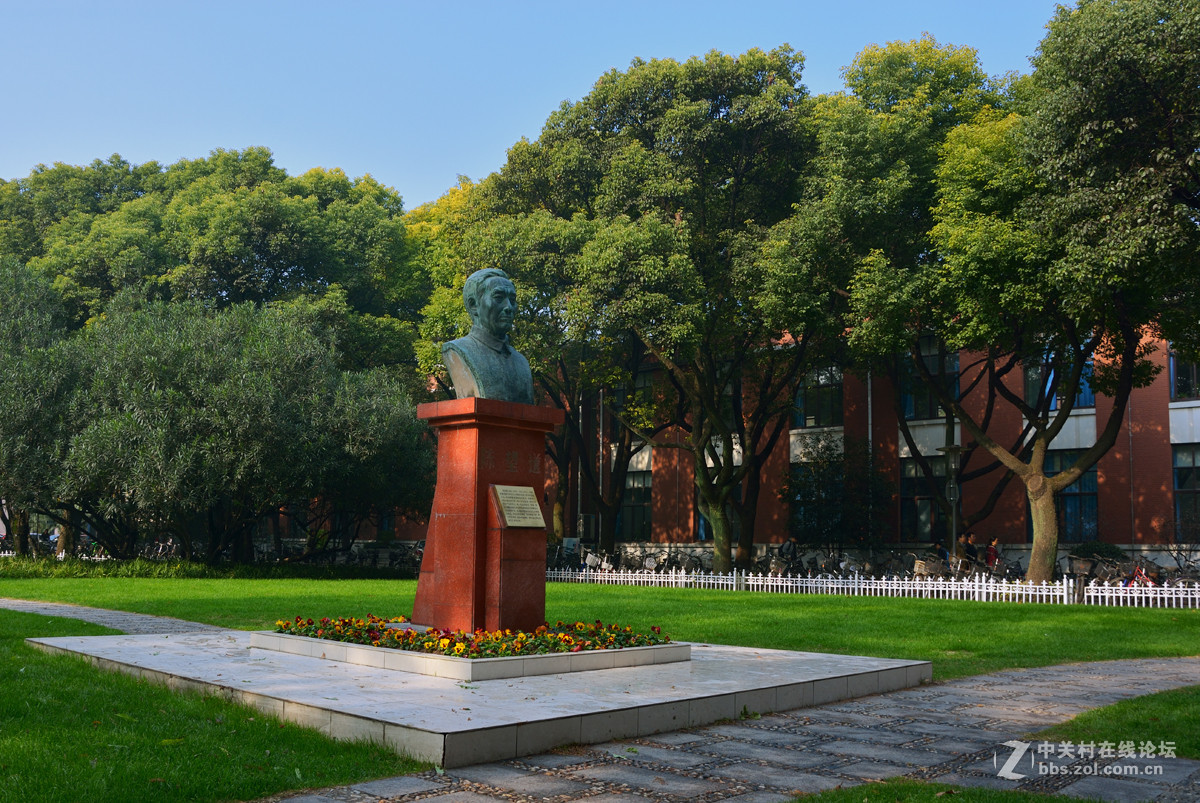 校 园 之 秋 系 列 — 上海复旦（二）