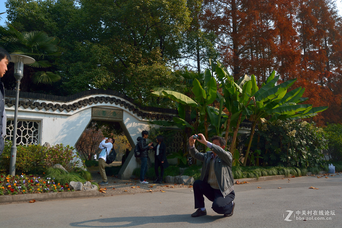 校 园 之 秋 系 列 — 上海复旦（二）