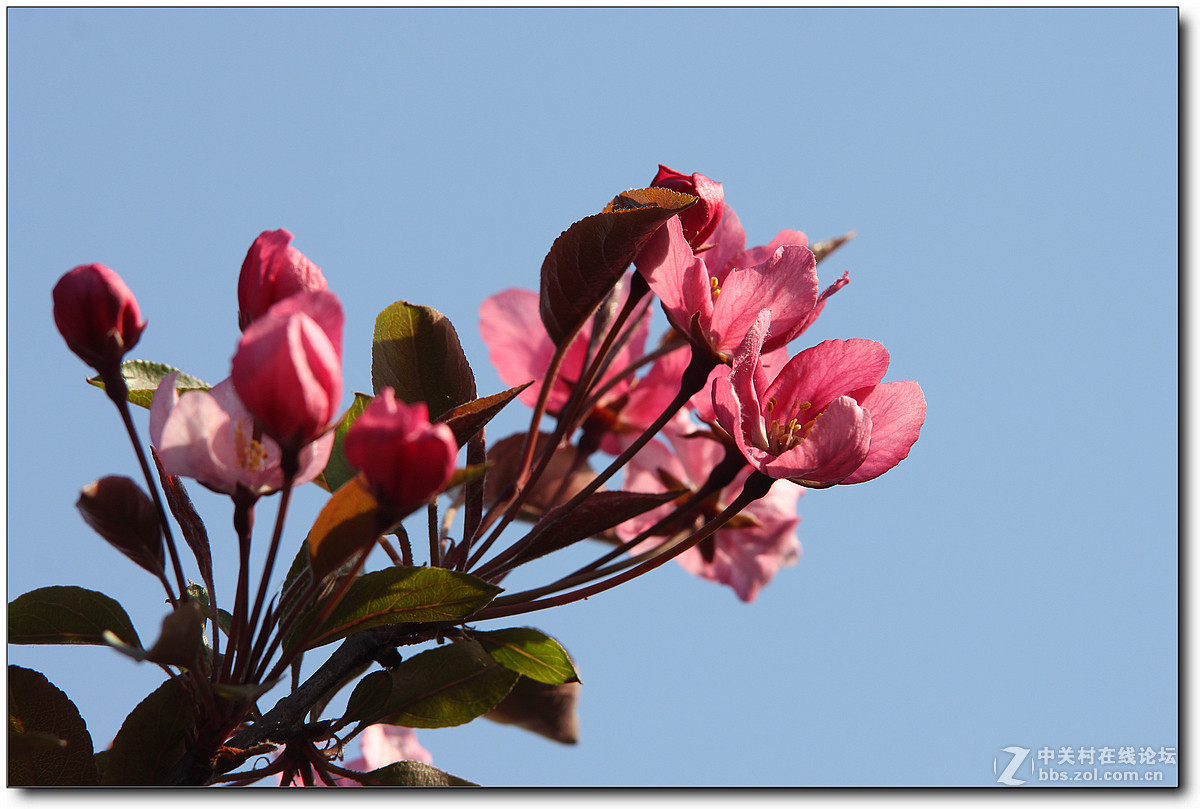 #2015年5月6D星空(中国)上半月精品汇集#