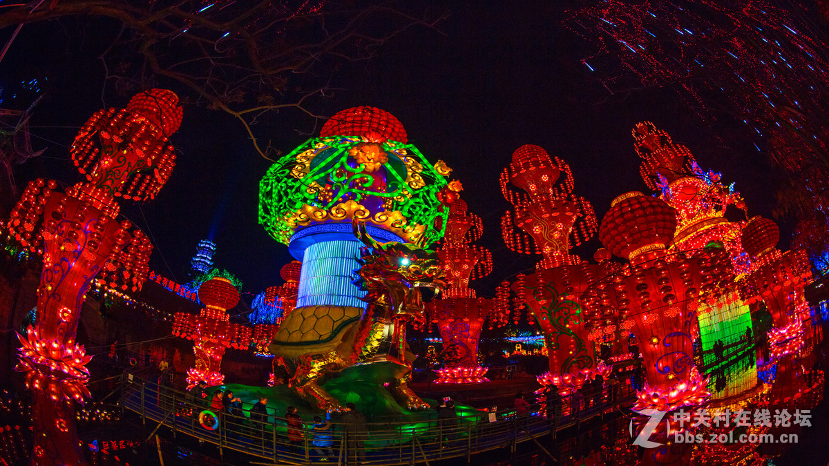 带着鱼眼看灯会