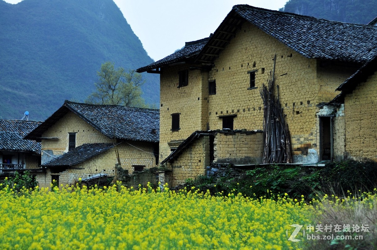 美丽乡村漂亮的泥瓦房走近广西融安东起的一个美丽乡村