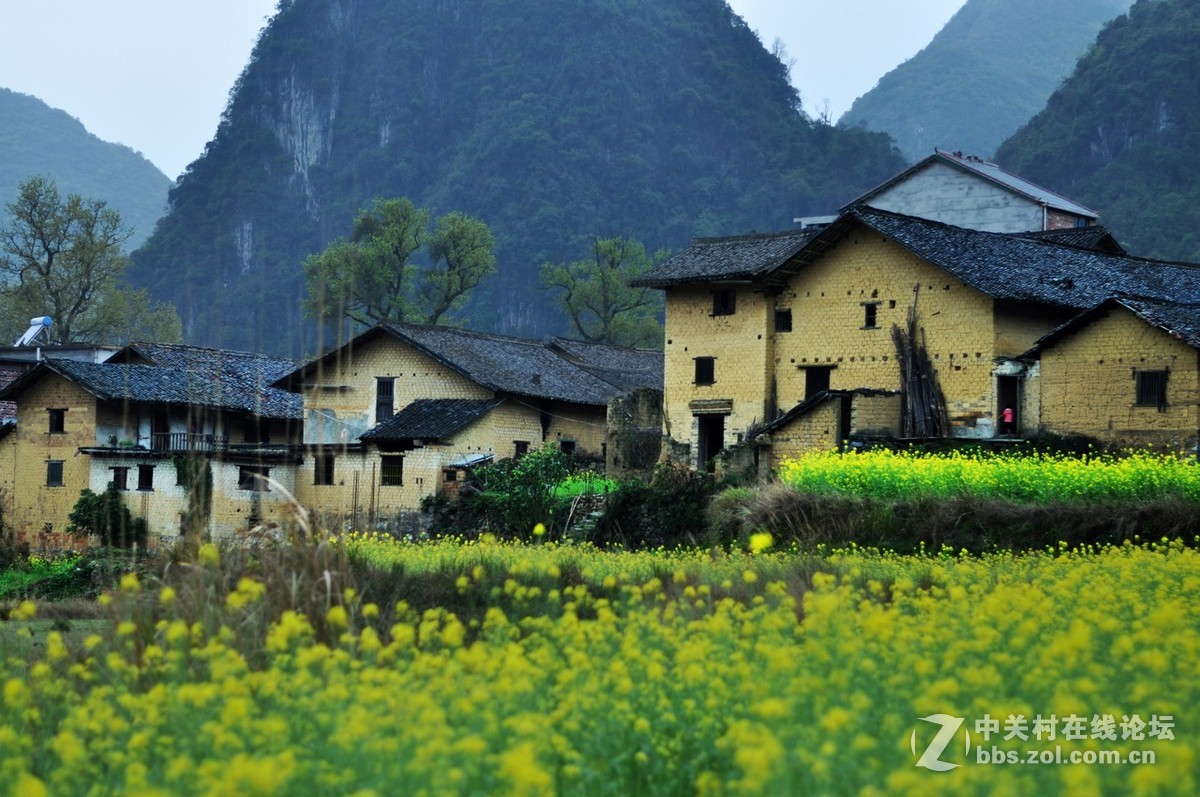美丽乡村漂亮的泥瓦房走近广西融安东起的一个美丽乡村