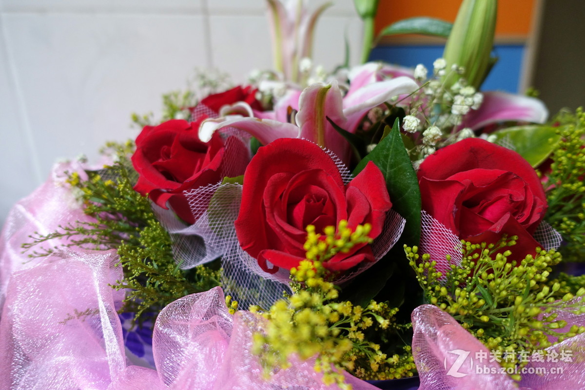 首次玩相机试拍，黑卡M3于我是不是一种浪费？