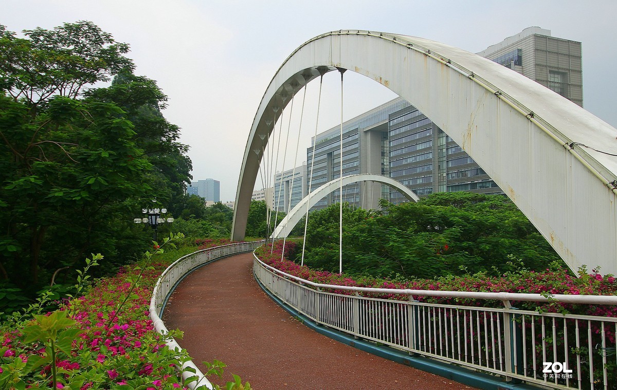 科学城的天桥！