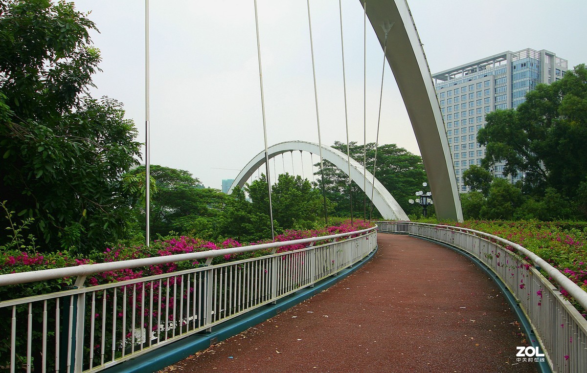 科学城的天桥！