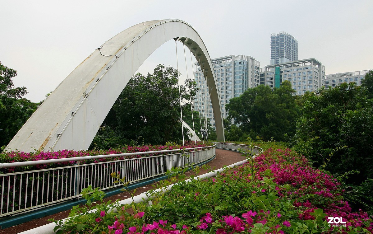 科学城的天桥！