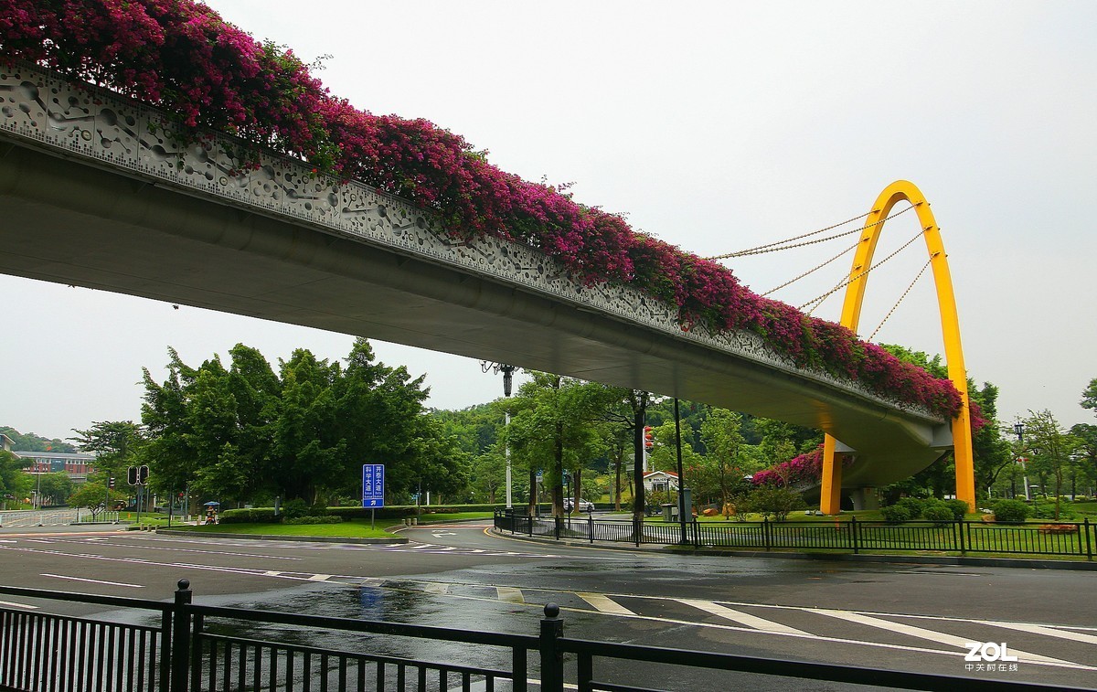 科学城的天桥！