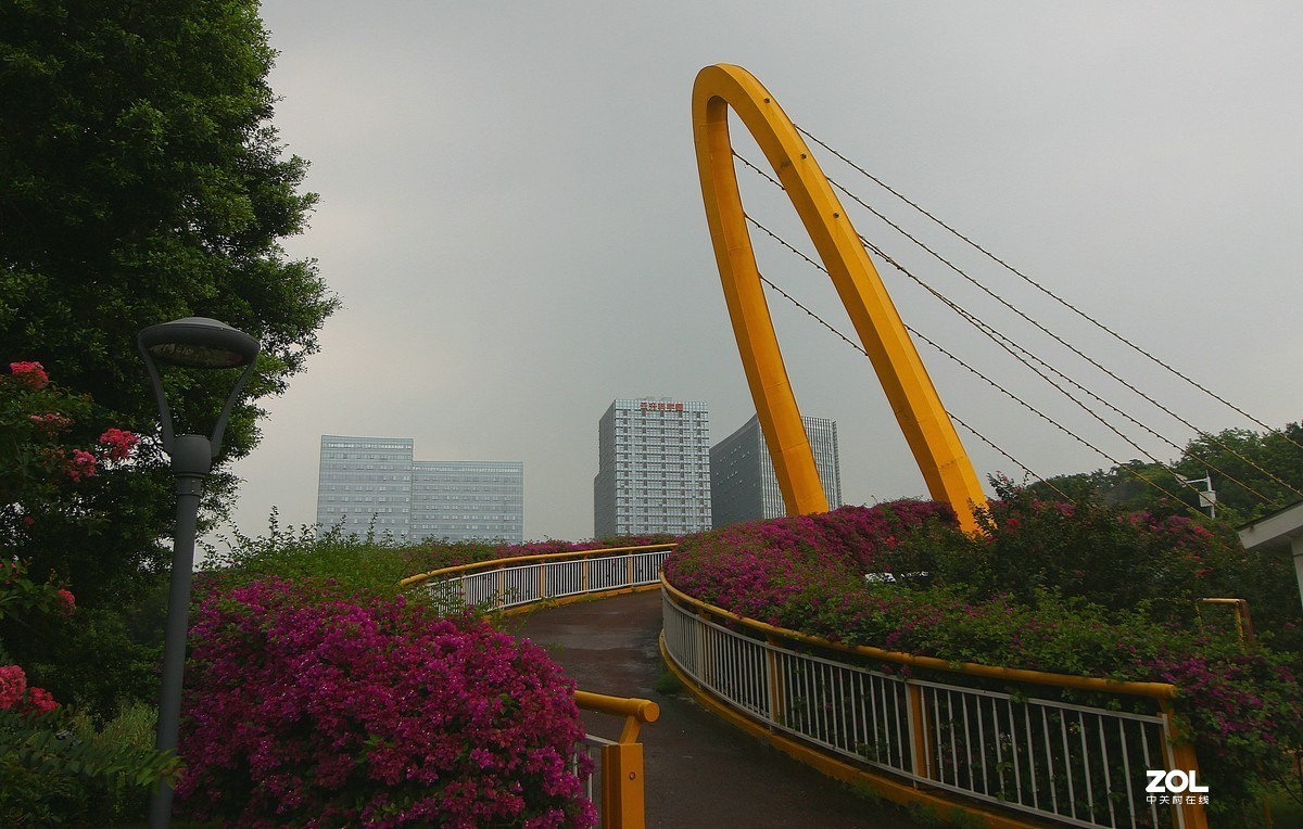 科学城的天桥！
