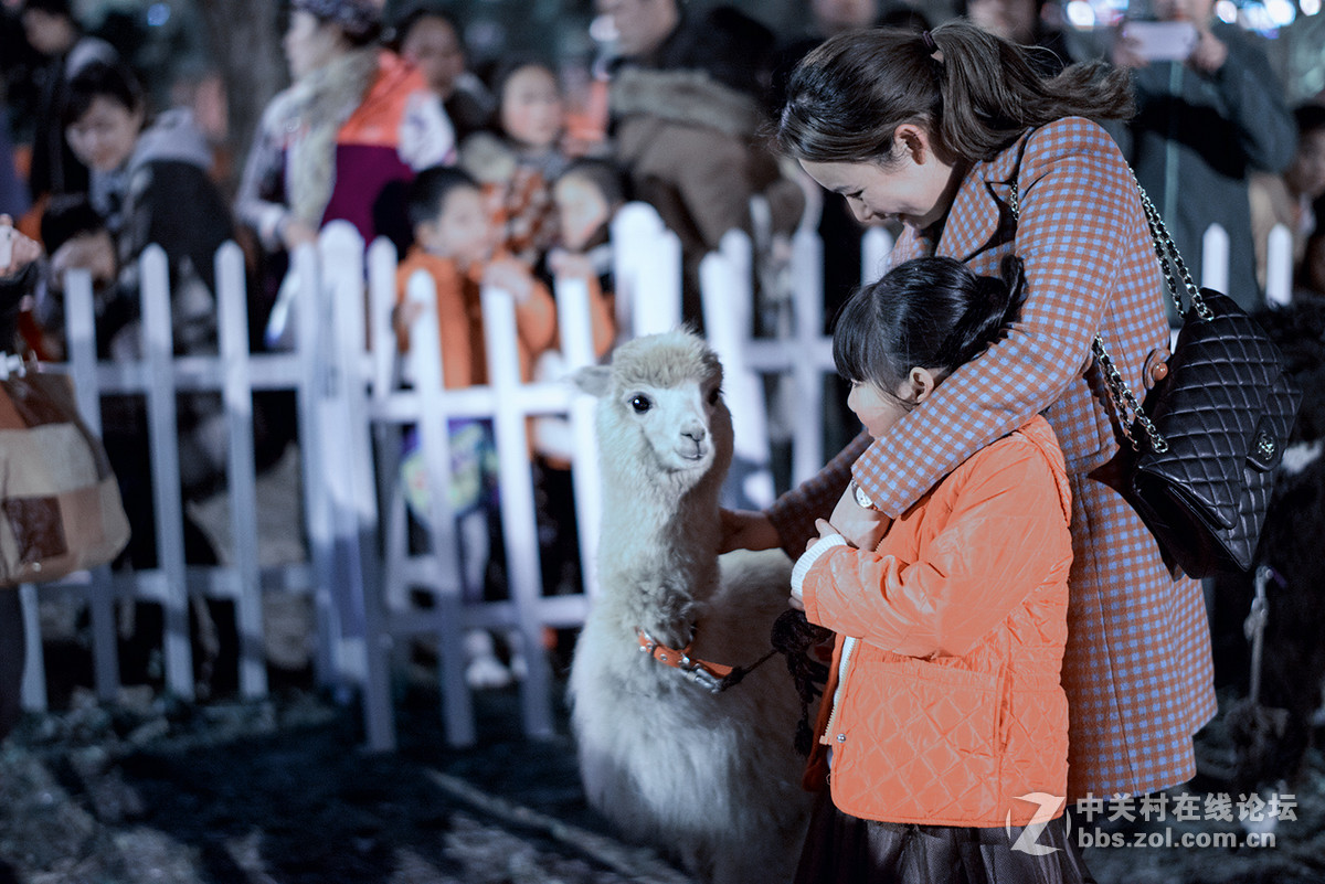 游拍成都2015武侯祠大庙会