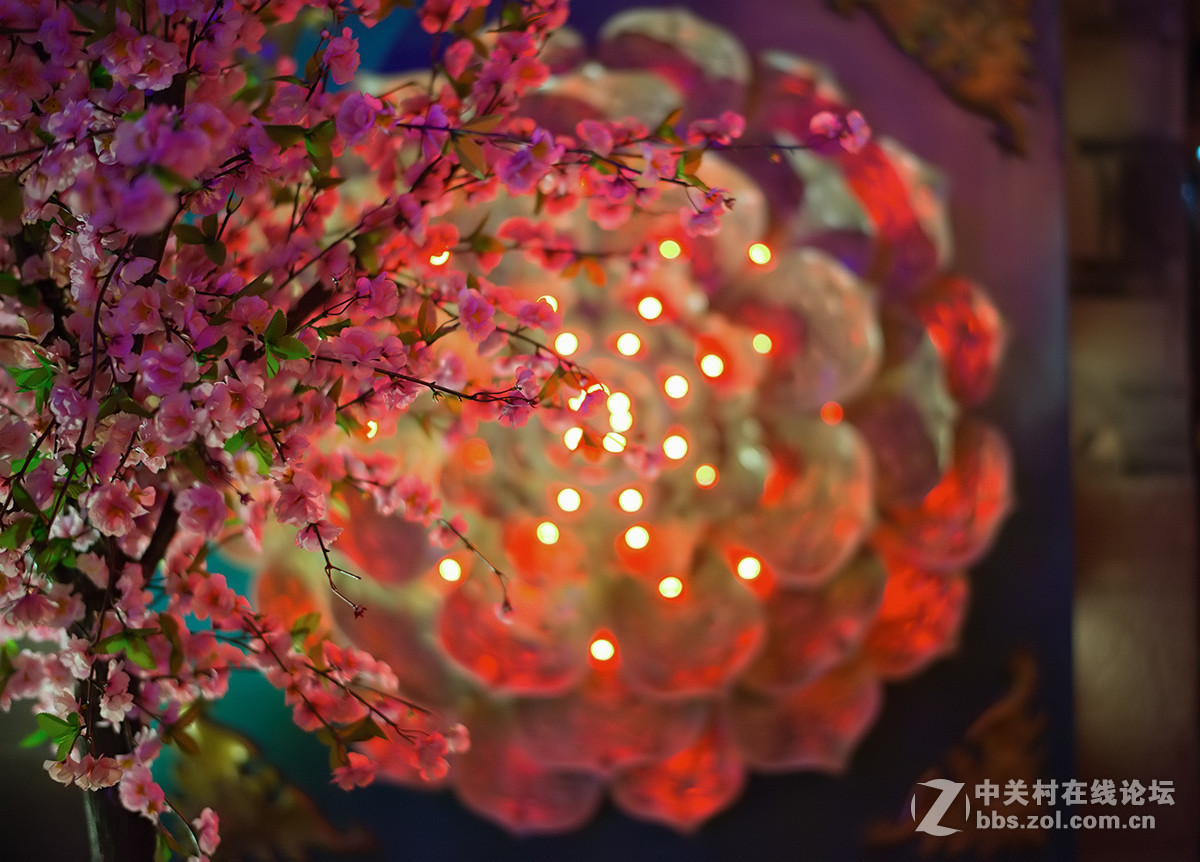 游拍成都2015武侯祠大庙会